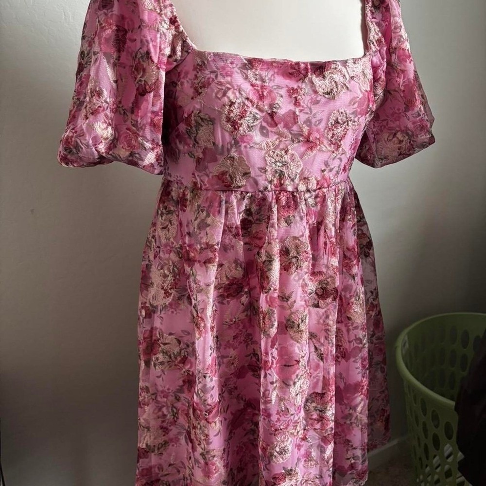 Floral Embroidered Mesh Mini Dress Pink Puff Sleeve Coquette Audrey Parks M